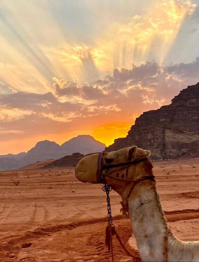 Hotel Rum Arjaan Luxury Camp Wadi Rum Esterno foto